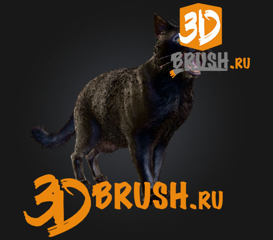 3d-scan-store---male-and-female-3d-model-bundle-48x-head-scans