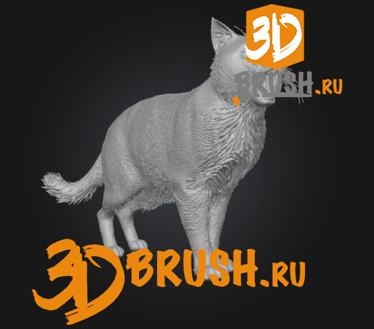 3d-scan-store---male-and-female-3d-model-bundle-48x-head-scans