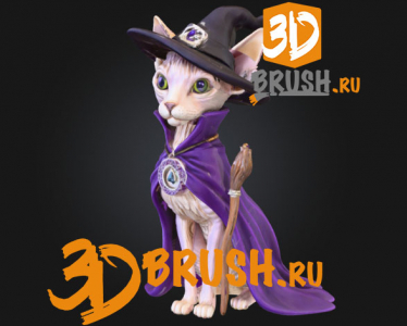 A hairless cat witch #Halloween2025#