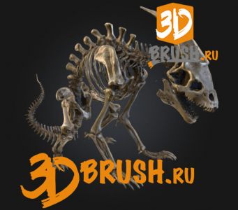 horror skeleton of an unknown creature