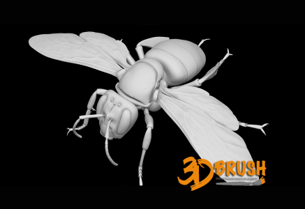 Пчела летит 3D модель