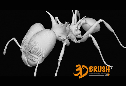 Термит муравей 3D модель